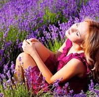 زهرة التوليب