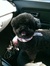 Buddys_Momma