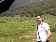 Ayman Mahmoud