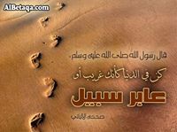 أبوعمر حبيب