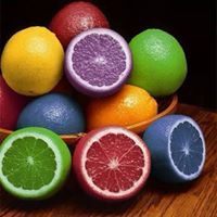 نصر زيادة حجازي