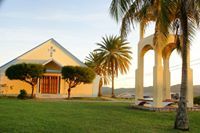 Inge Francis-Williams