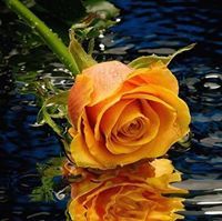 اللهم اغفر لنا ذنوبنا