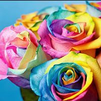 بتلات ملونه