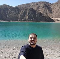 Mohamed Hatem