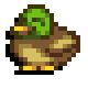 Donald