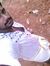 Deepak A