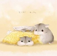 Kevin Lam