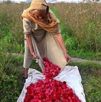 لمى الطراونه