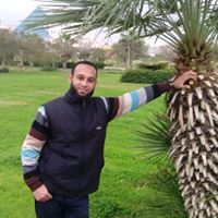 هانى الروبي