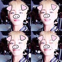 Dolly Bangtan