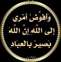 هشام عبد العزيز