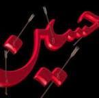 Joyia Sebtain Raza
