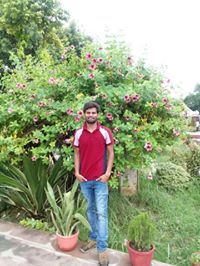 Anurag Thakkar