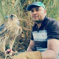 حسن عقيل