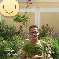 محمد اللاوندى