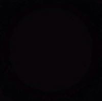 Duangdaow Saengkaewsantisuk