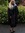 Linda Lapp