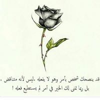 اميرة الاحلام