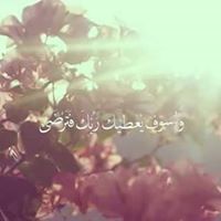 Hadeer AH