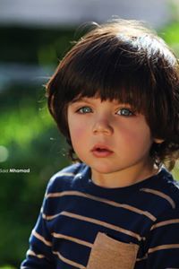 Ahmed Arbi