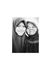 Rizky N...