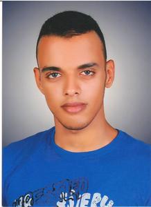 Hossam Eldin Moustafa