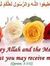 Wasim H...