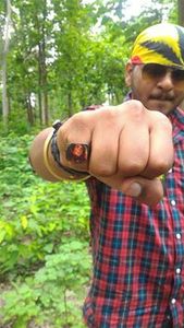 Rohan Gupta