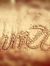 Eng Hossam