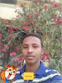 علي خليفة علي