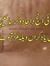 Hafsa T...