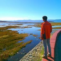 David Chen