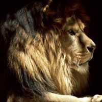King Eric