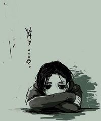 أمير الشيوخ