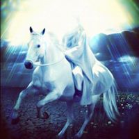 بريق العباس