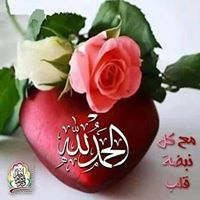 حارث السويداوي