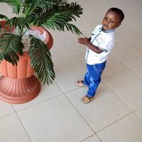 عثمان ودالمبارك