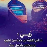 علا السفياني