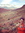 Katie | 1 comments