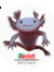 Karen Axolotl
