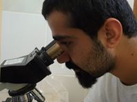 Murat Güler