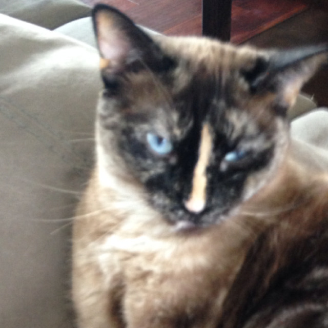 Goodreads profile picture for @BenjaminS
