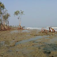 Chandrakant Kushwaha