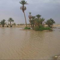 ايمن بن سليم