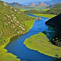 أحمد الطالب