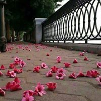 سليلة القمرين