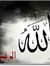 Saleh M...