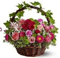 بسمة الحياة