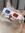 Anthony (3DCat) | 1 comments